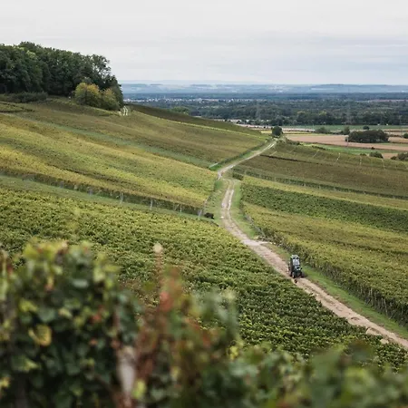 Ferienwohnungen Winzerhof Keller Auggen Buitenkant foto